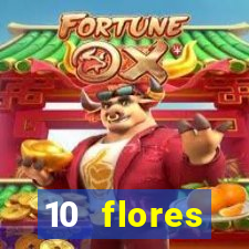 10 flores silvestres desbravadores